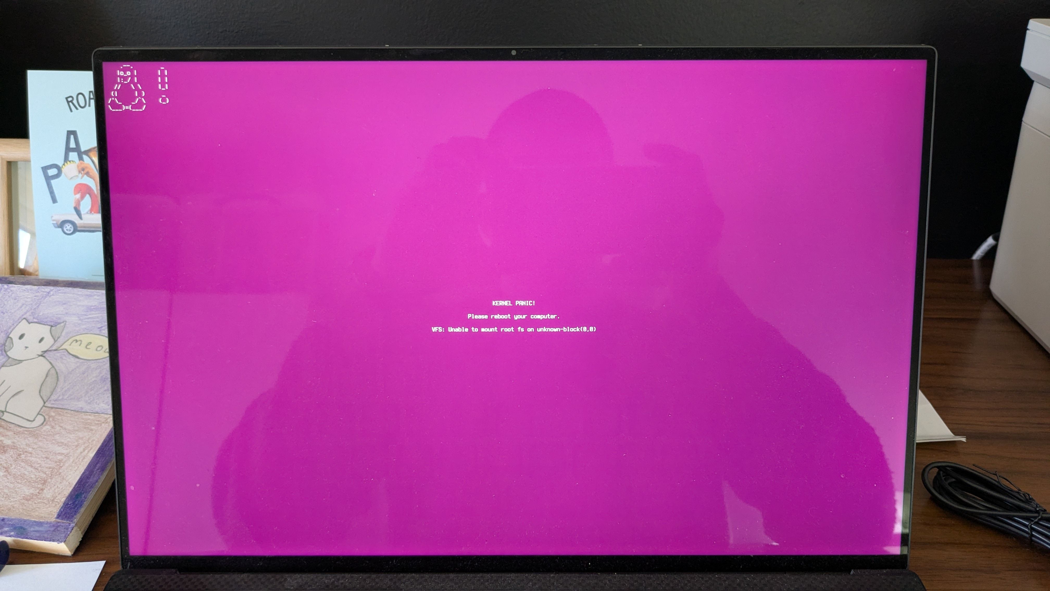 A photo of my screen showing Linux kernel panic with a purple background.